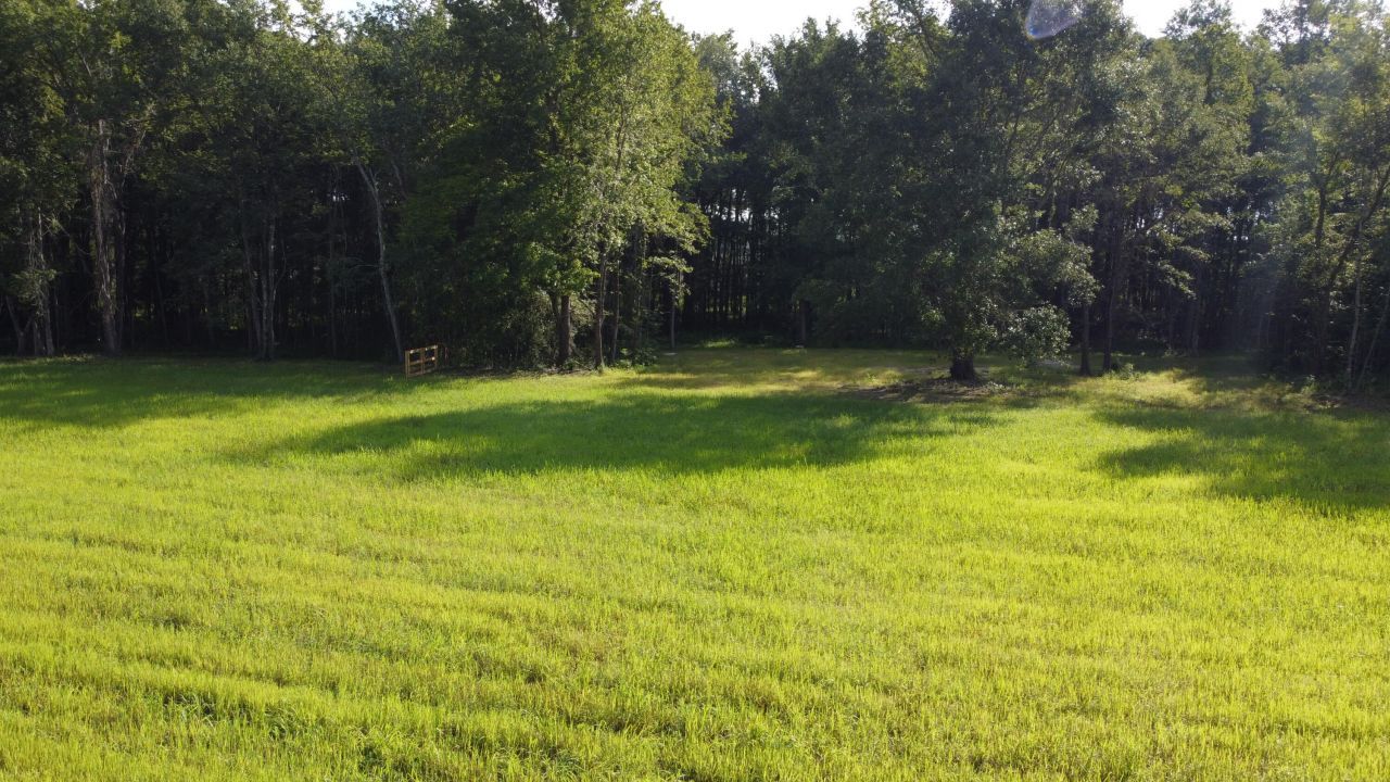 660 Bc Estates Lane Photo 4