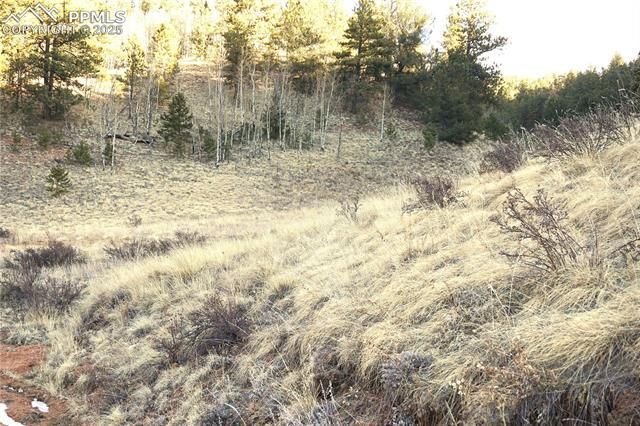 637 Valley Road, Divide, CO 80814 Main Photo