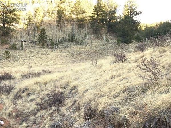 637 Valley Road, Divide, CO 80814