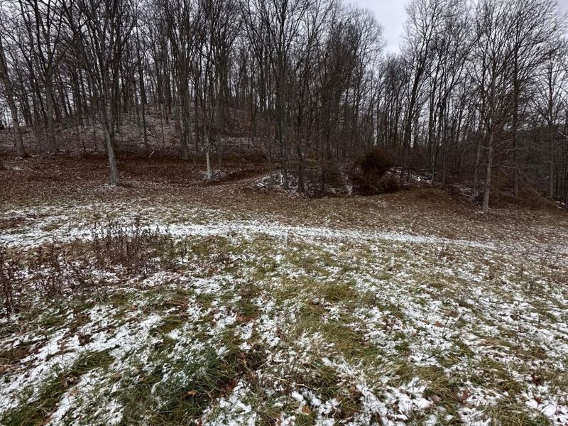 0 Big Pine Road, Laurelville, OH 43135 Photo 4