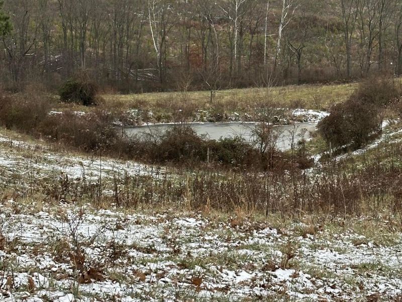 0 Big Pine Road, Laurelville, OH 43135 Photo 5