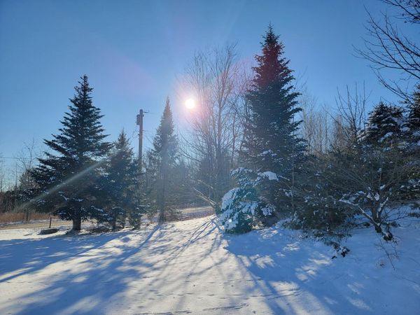 1244 Gary Moore Road , Otis, ME 04605