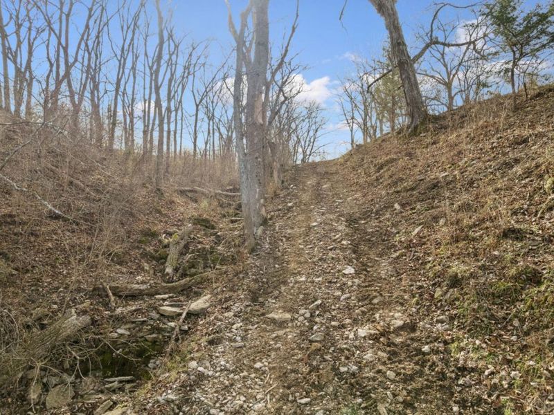 7340 Chicken Hollow Road, Union Twp, OH 45167 Photo 12