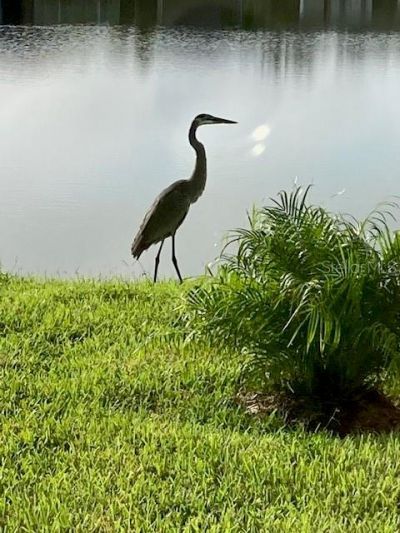 1601 Delphi Way, New Smyrna Beach, FL 32168 Photo