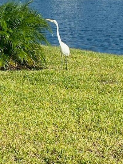 1601 Delphi Way, New Smyrna Beach, FL 32168 Photo