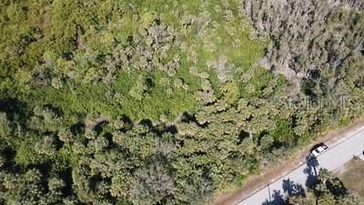 Wychewood Drive, Punta Gorda, FL 33950 Photo