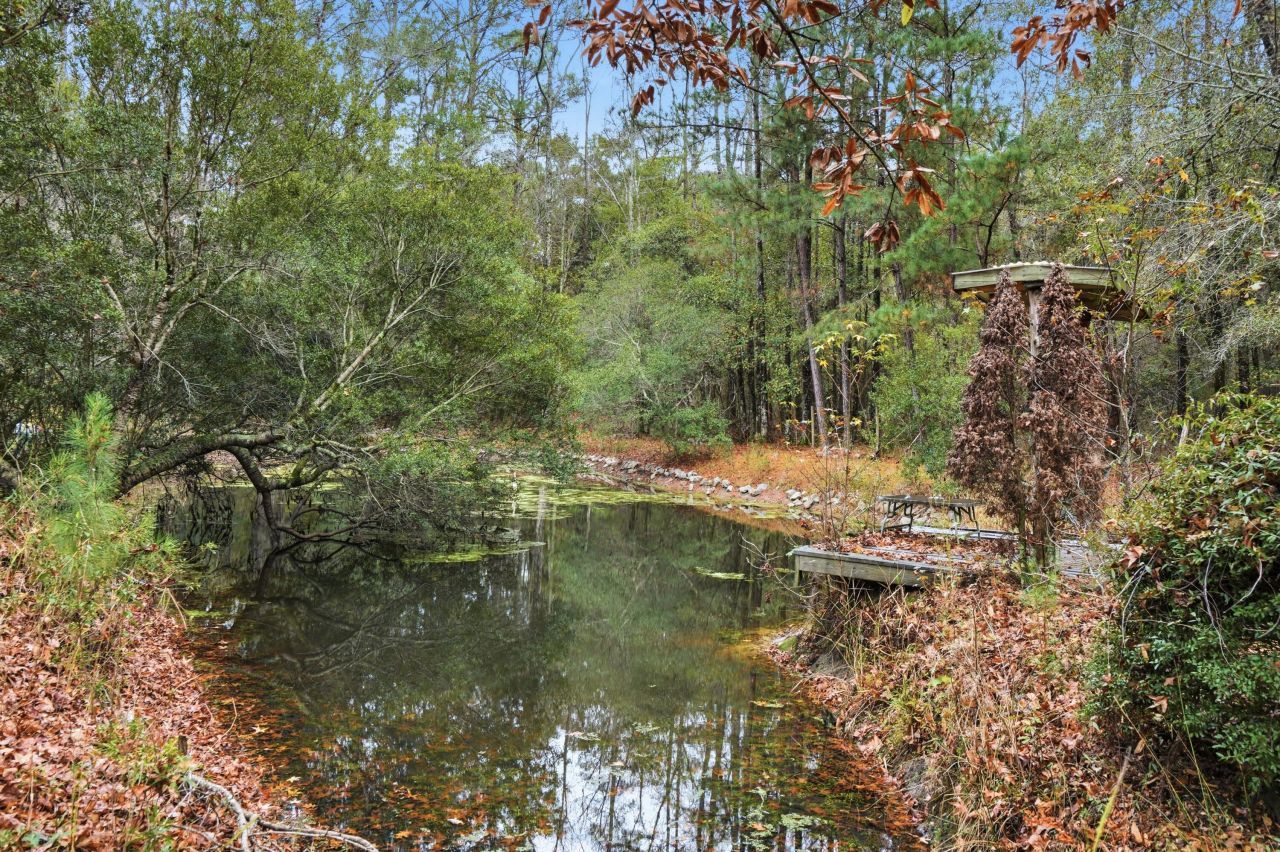 388 Rebel Lane Photo 38