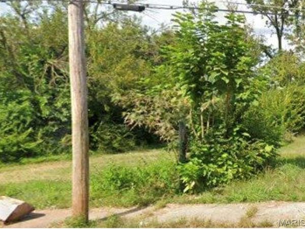 3931 Lee Avenue, St Louis, MO 63107