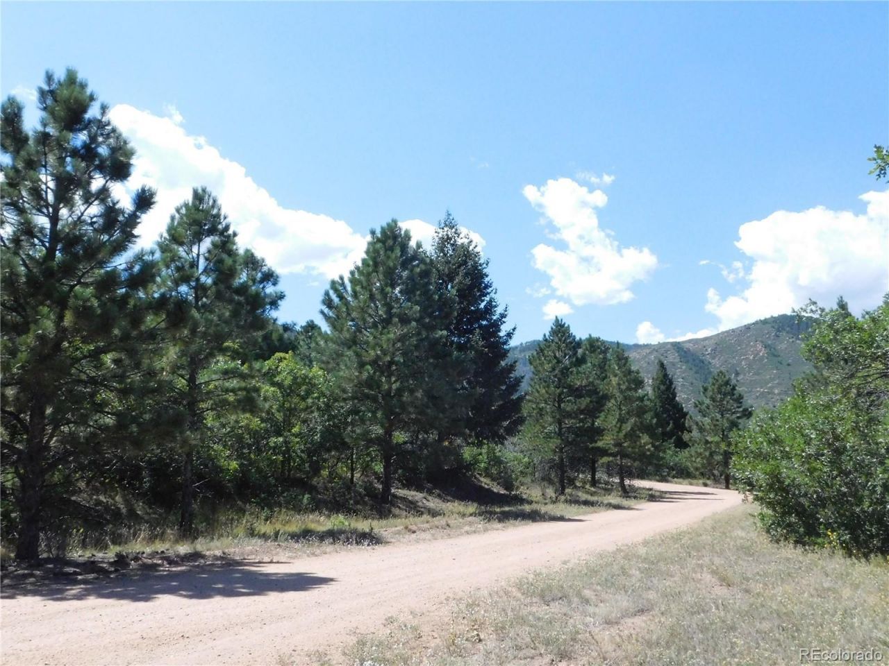 6344 Troon Court, Larkspur, CO 80118 Main Photo