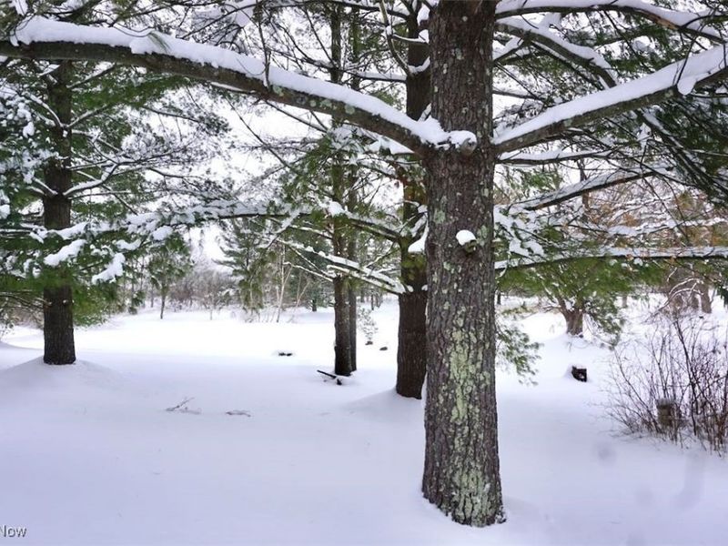 14543 Ensign Road, Burton, OH 44021 Photo 2