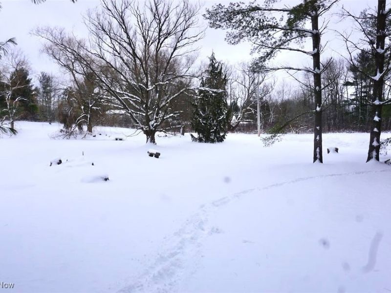 14543 Ensign Road, Burton, OH 44021 Photo 28