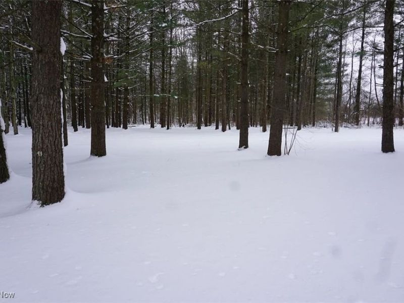 14543 Ensign Road, Burton, OH 44021 Photo 31