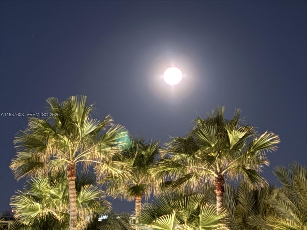 17555 Collins Ave, Unit 308, Sunny Isles Beach, FL 33160 Photo