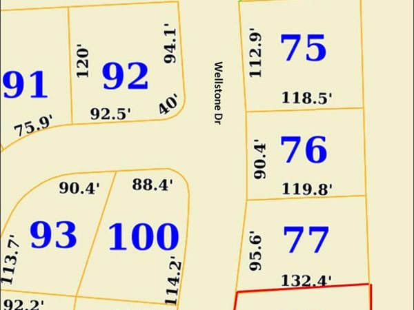 Lot 4 Wellstone, Belden, MS 38826