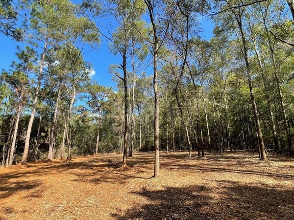 Old Hwy 49, Saucier, MS 39574