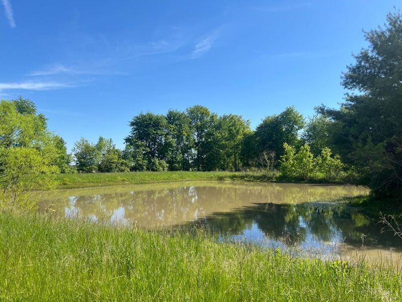 597 Haynes Road, Marion Twp, OH 45148 Photo 8