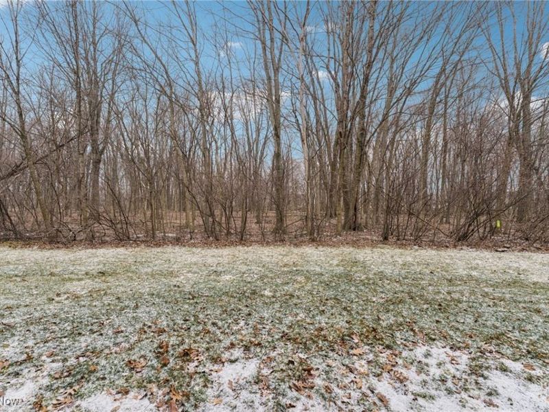 3769 Freedom Place, Lorain, OH 44053 Photo 32