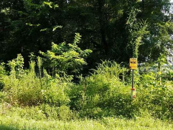 795 Hill Avenue, Henderson, TN 38340