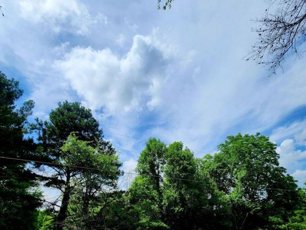 0 River Road, Decatur, TN 37322