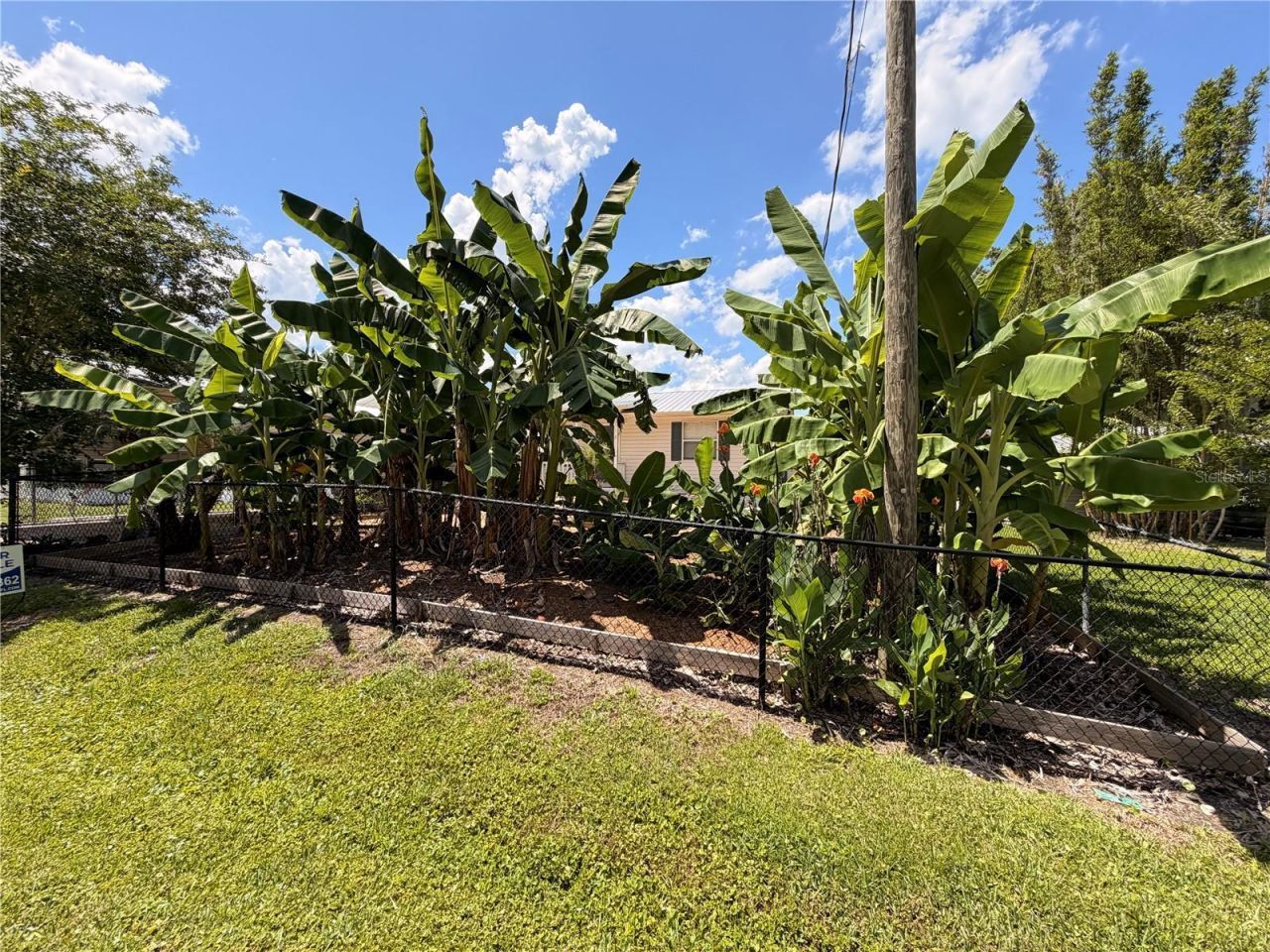24521 Alligator Road, Astor, FL 32102 Photo