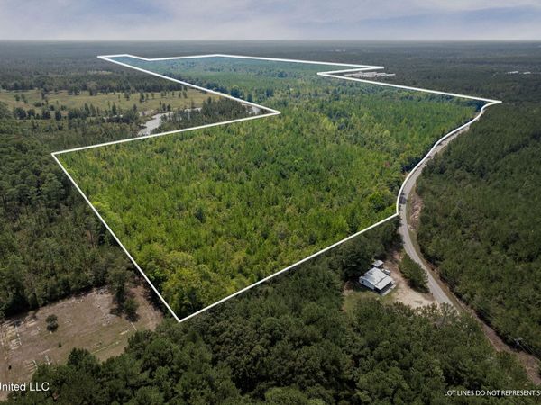 000 Rockhill To Lumberton Road, Purvis, MS 39475