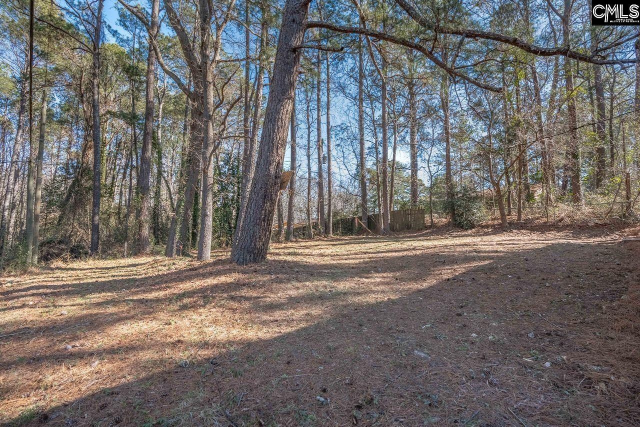 413 Beaverbrook Drive Photo 29