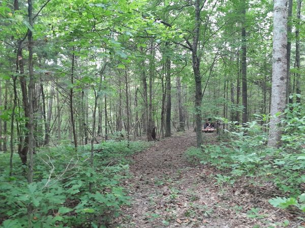 0 Meadows Rd, Portland, TN 37148