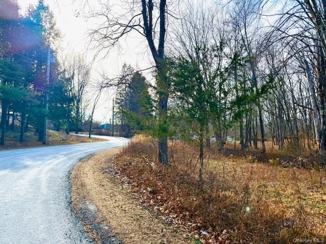 56 Route 209, Port Jervis, NY 12771 Main Photo