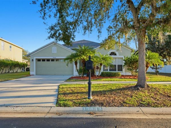 19043 NEW PASSAGE BOULEVARD, LAND O LAKES, FL 34638