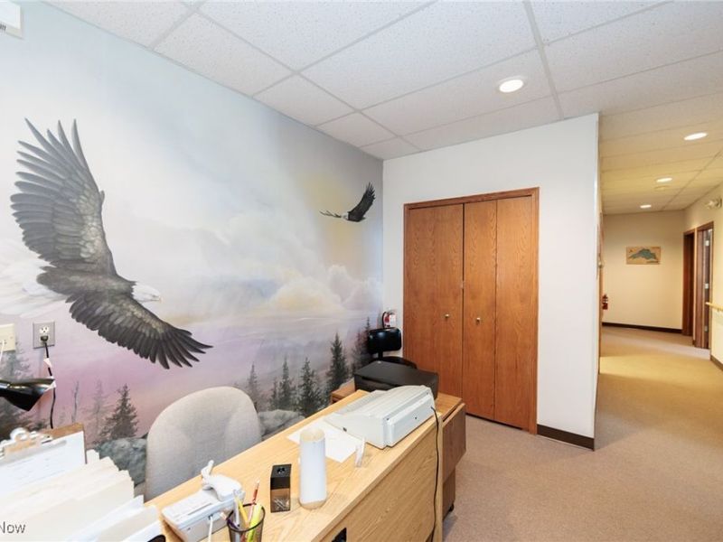 5321 Meadow Lane Court, Sheffield Village, OH 44035 Photo 9