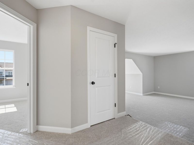 305 River Birch Drive, Galena, OH 43021 Photo 24