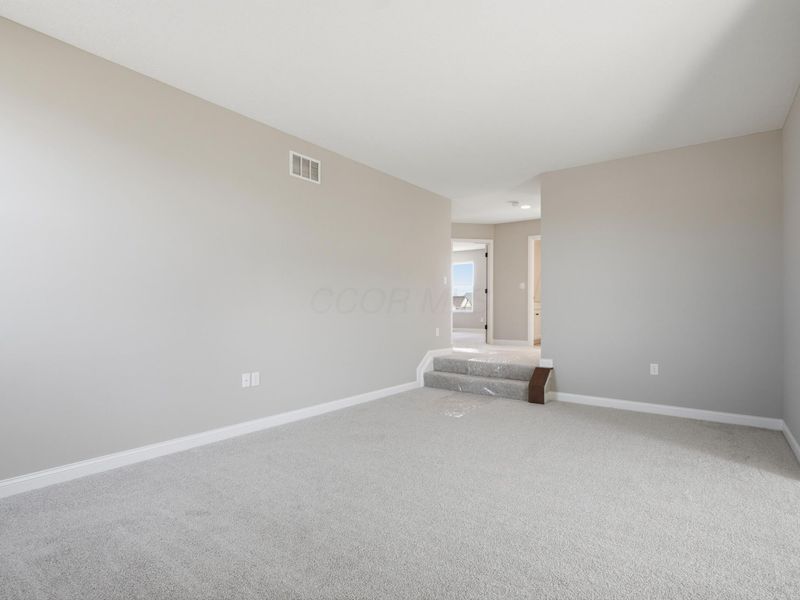 305 River Birch Drive, Galena, OH 43021 Photo 27