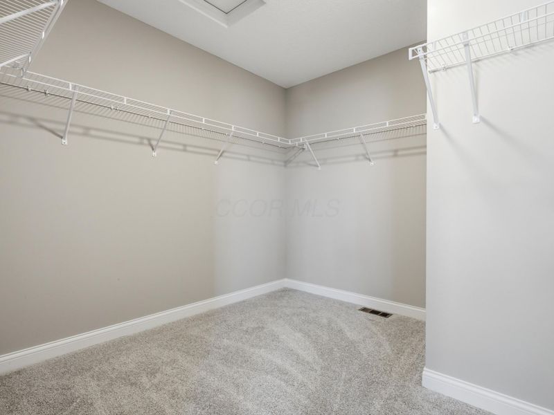 305 River Birch Drive, Galena, OH 43021 Photo 42