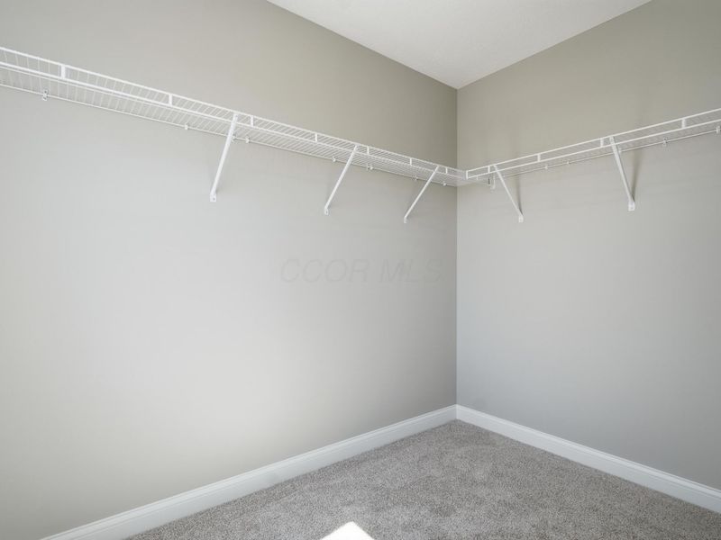 305 River Birch Drive, Galena, OH 43021 Photo 43