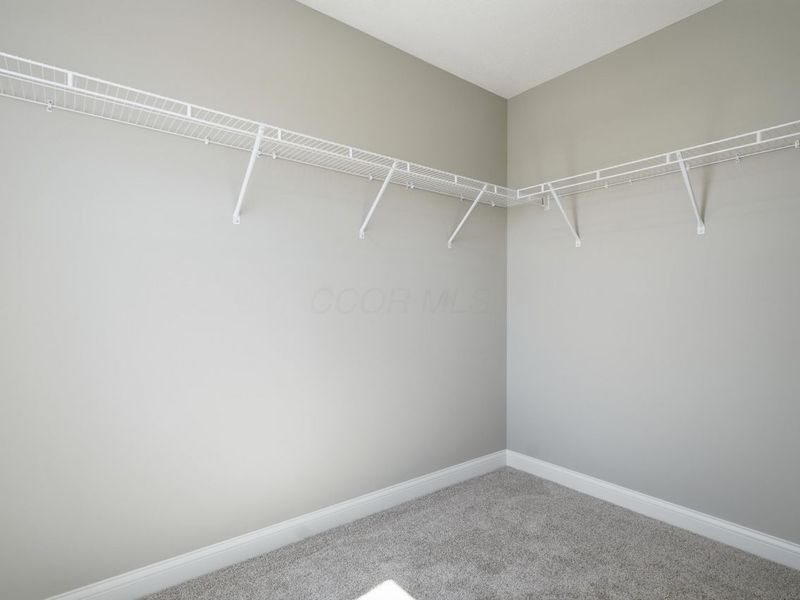 305 River Birch Drive, Galena, OH 43021 Photo 47