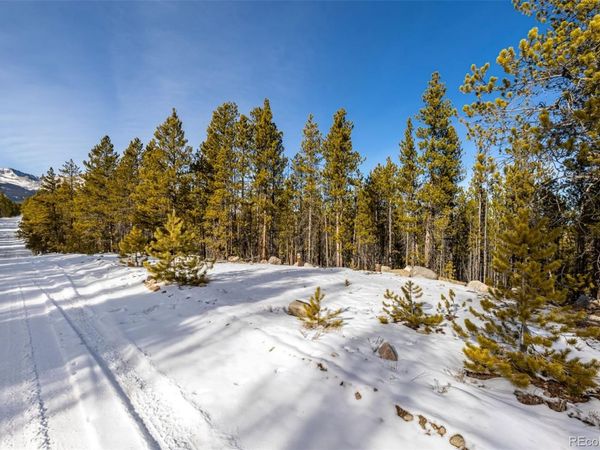 539 Sequoia Drive, Leadville, CO 80461