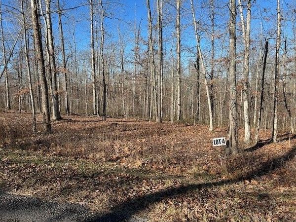 4 Slaughter Rd, Unit 4, Primm Springs, TN 38476