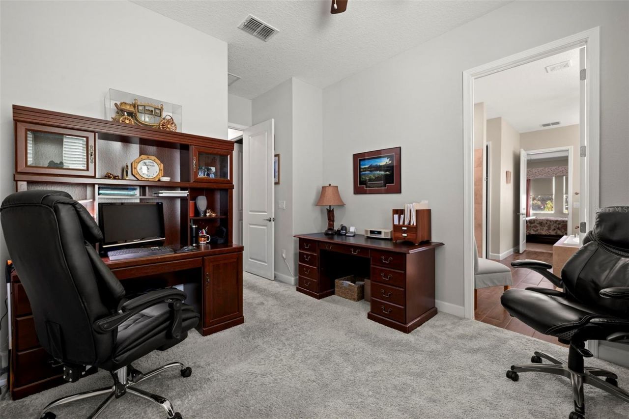 16938 Scuba Crest Street, Wimauma, FL 33598 Photo