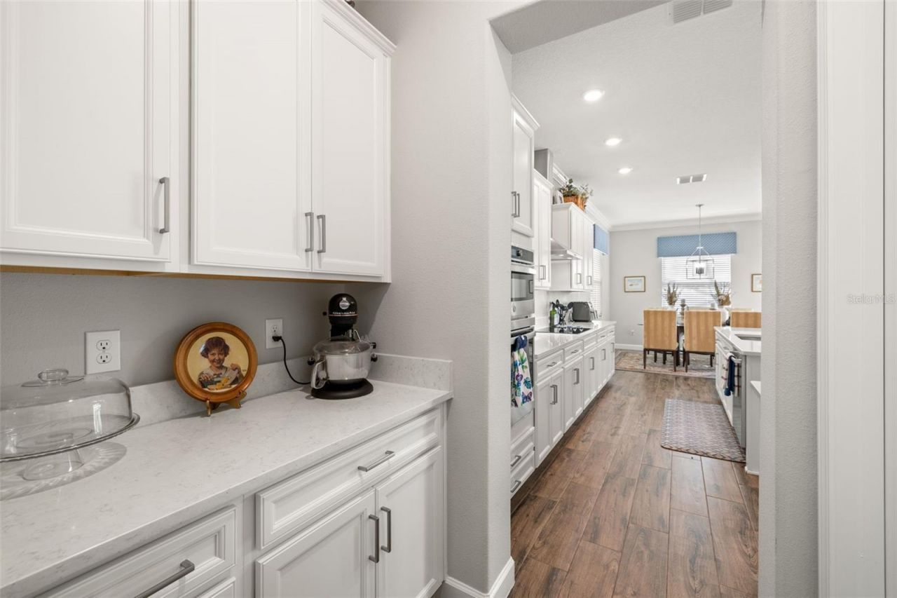 16938 Scuba Crest Street, Wimauma, FL 33598 Photo
