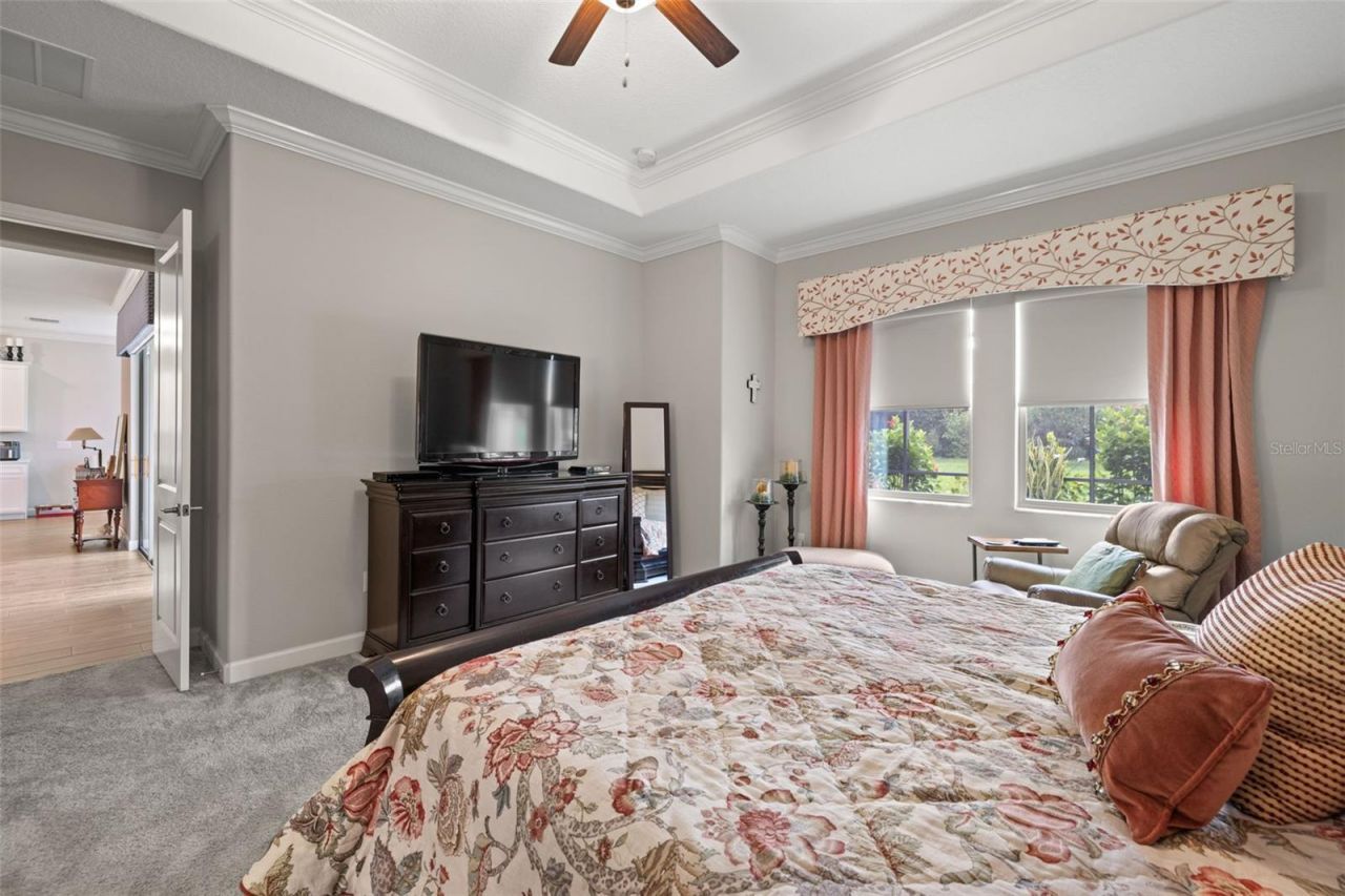 16938 Scuba Crest Street, Wimauma, FL 33598 Photo
