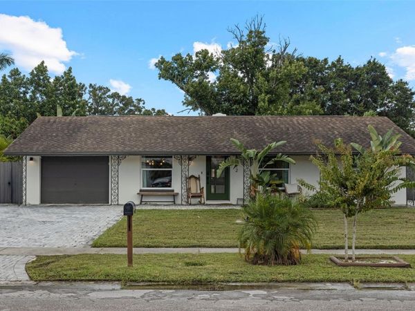 8212 DONALDSON DRIVE, TAMPA, FL 33615
