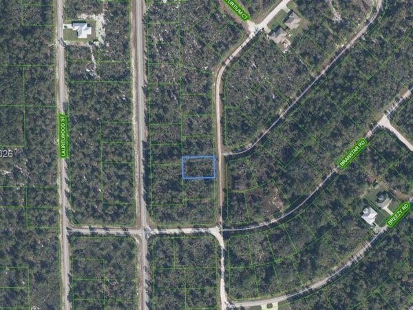 3292 Gossamer Avenue, Lake Placid, FL 33852