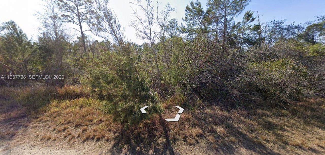 3292 Gossamer Avenue, Lake Placid, FL 33852 Photo