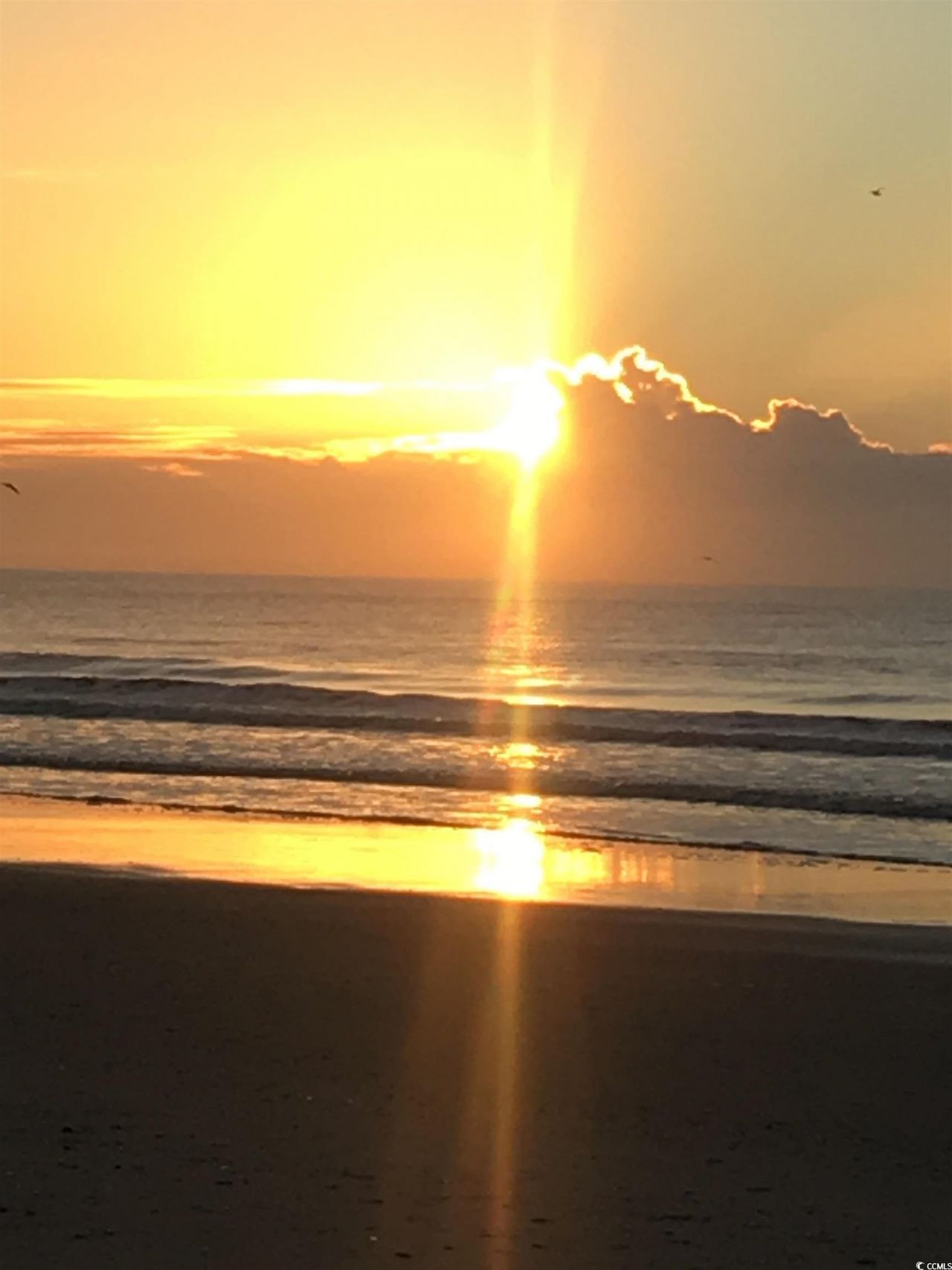 2711 S Ocean Blvd. S Photo 17