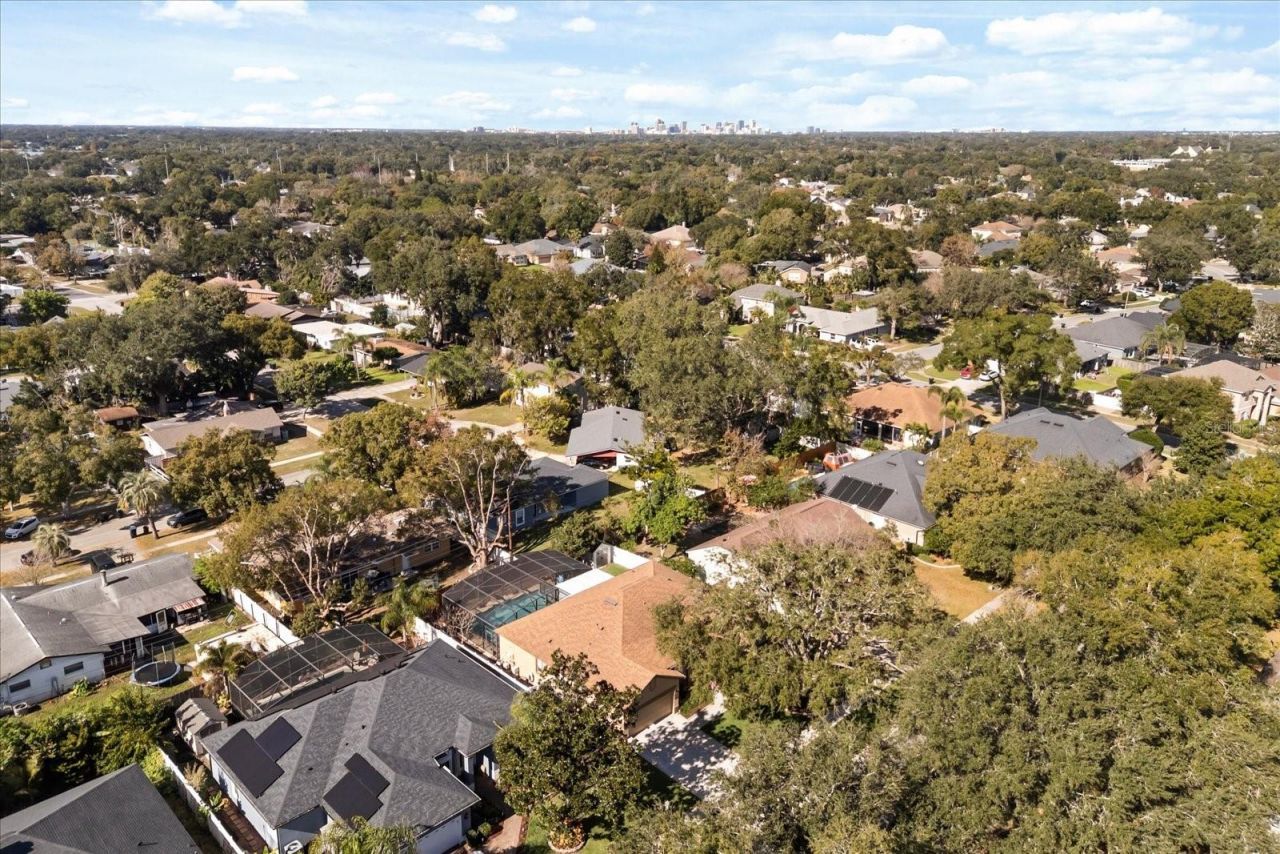 4220 Lillian Hall Lane, Orlando, FL 32812 Photo