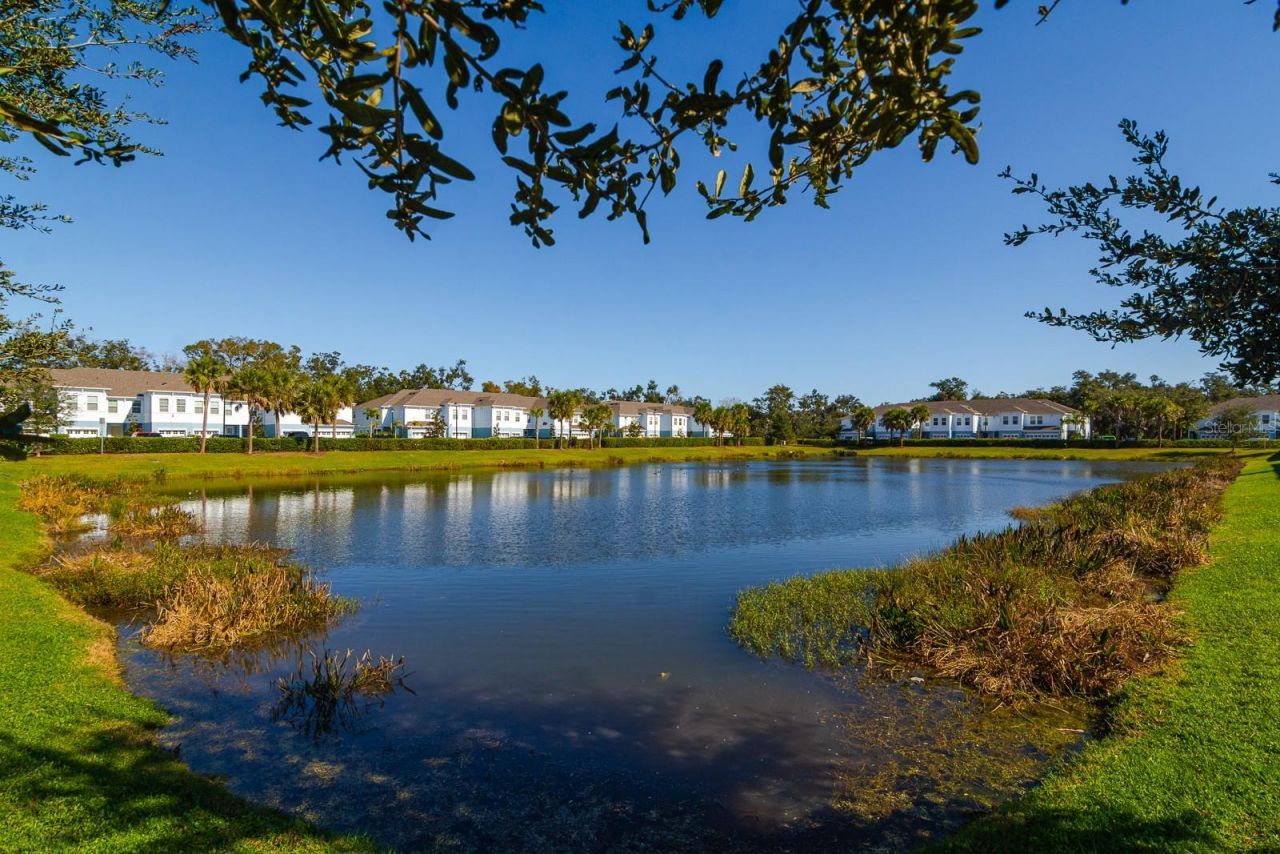 4119 Via Sienna Circle, Sarasota, FL 34243 Photo