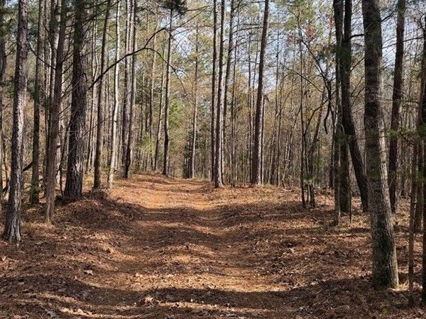 +/- 198 ACRES Dennis Creek Road, Talbotton, GA 31827