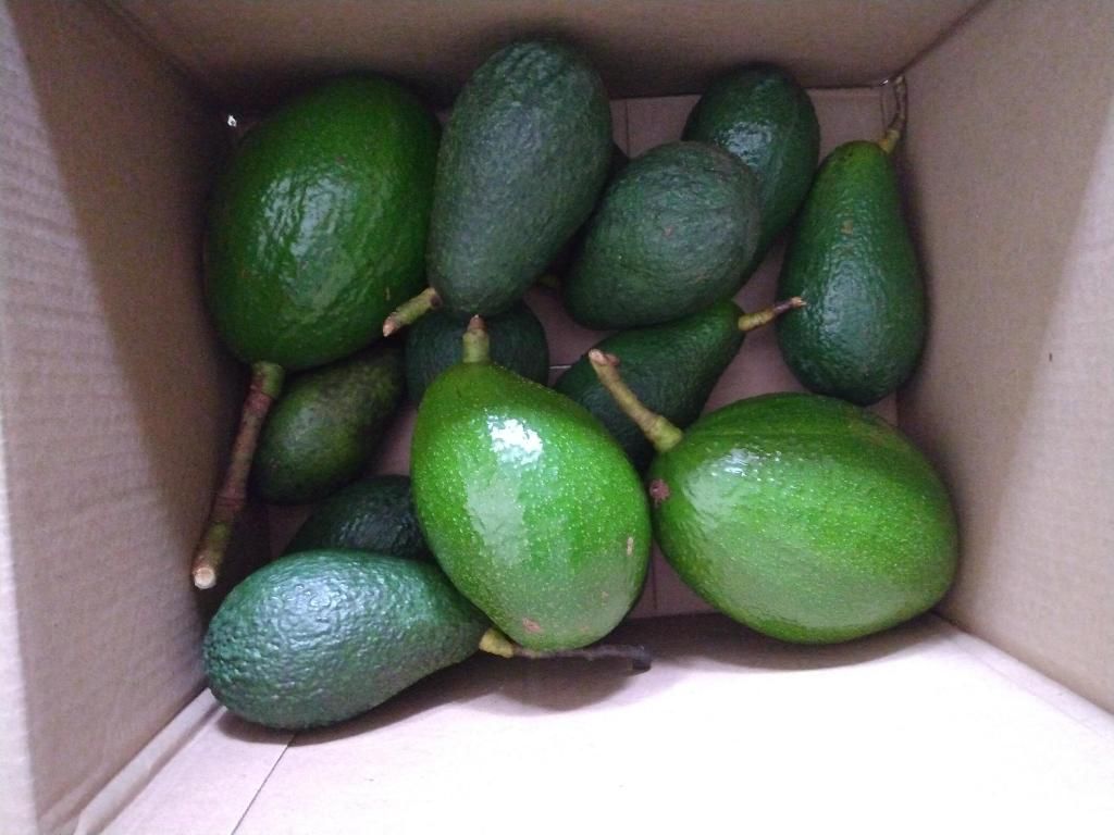 14817 Snail Trail, Loxahatchee Groves, FL 33470 Photo