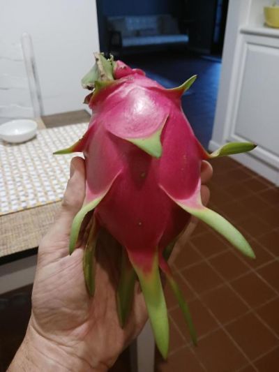 14817 Snail Trail, Loxahatchee Groves, FL 33470 Photo