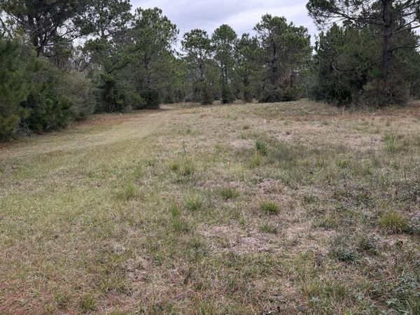 31849 Randolf Ave, Lillian, AL 36549